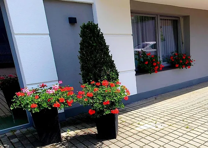 Akacja - Orlowo Couette-café Gdynia