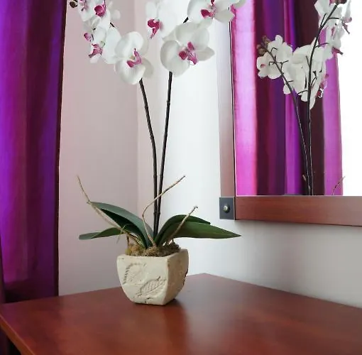 Willa Akacja Bed & Breakfast - Gdynia Orlowo Bed & Breakfast Gdynia