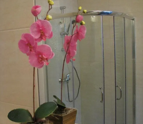 Bed & Breakfast Willa Akacja Bed & Breakfast - Gdynia Orlowo Gdynia